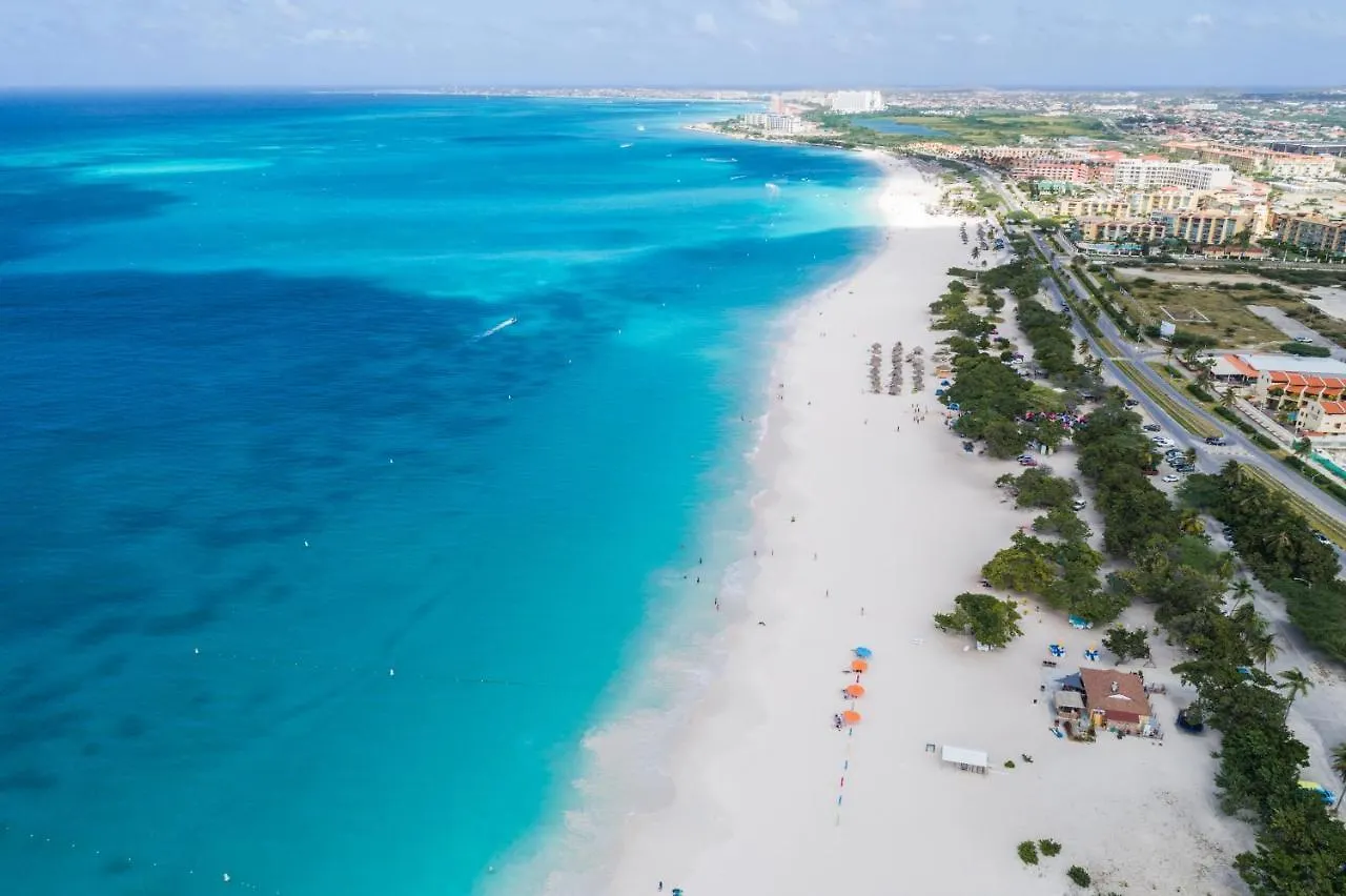 Caya Di Catalina 14 Villa Palm Beach Aruba