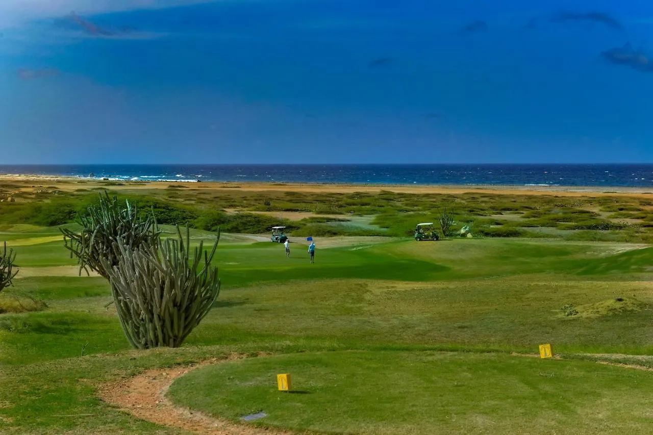 Caya Di Catalina 14 Villa Palm Beach 0*,